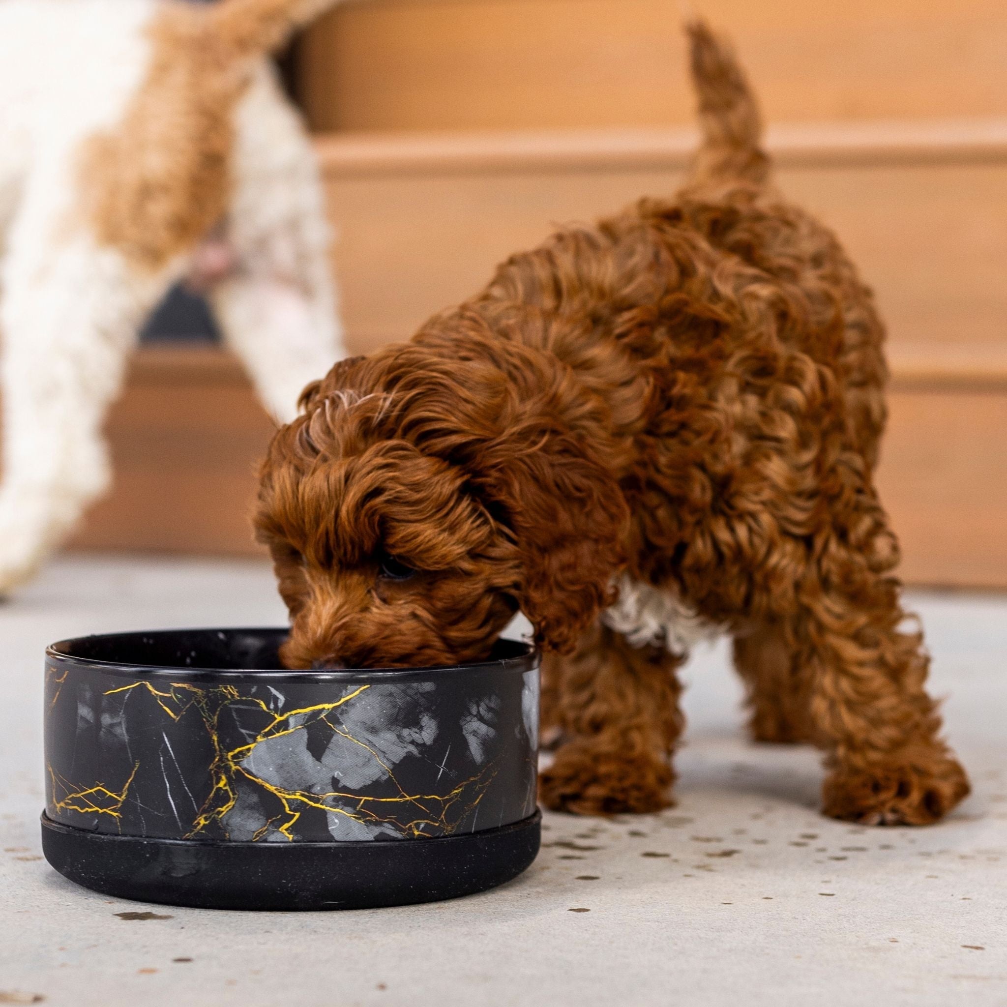 Limited Edition Ceramic Bowl
