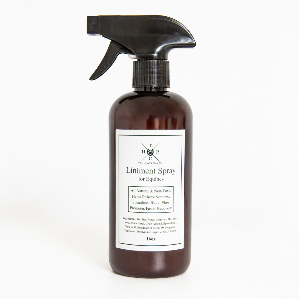 Liniment Spray for Horses